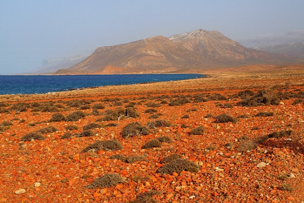 Yemen Socotra Island