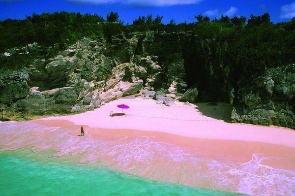 Pink Sand Beach-Bahamas