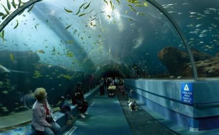 The-New-York-Aquarium