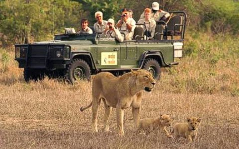 kenyan-safaris