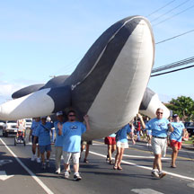 parade-of-whales