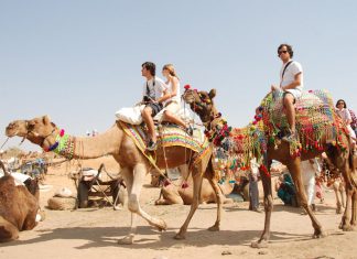 5 Top Camel Safari Places in India