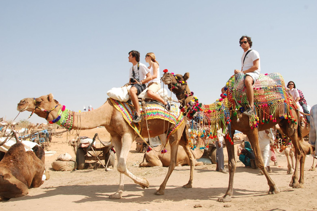 5 Top Camel Safari Places in India
