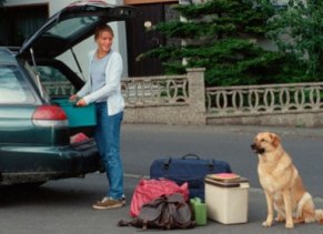 Traveling with pets