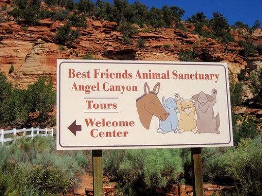 Best Friends Animal Sanctuary Canyon