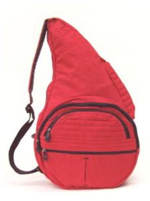 healthy back carry bags