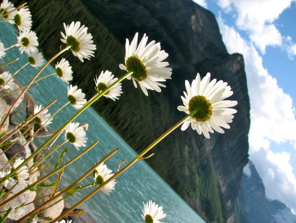 banff canada 24