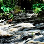 hillsborough river state park