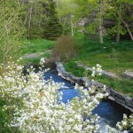 Bowring Park