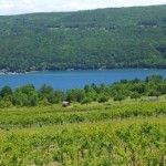 Finger Lakes