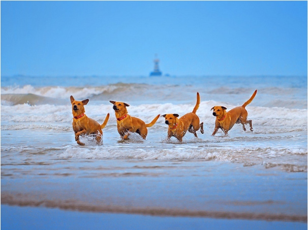 hua hin beach