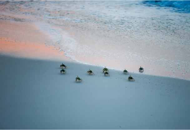 Seychelles island