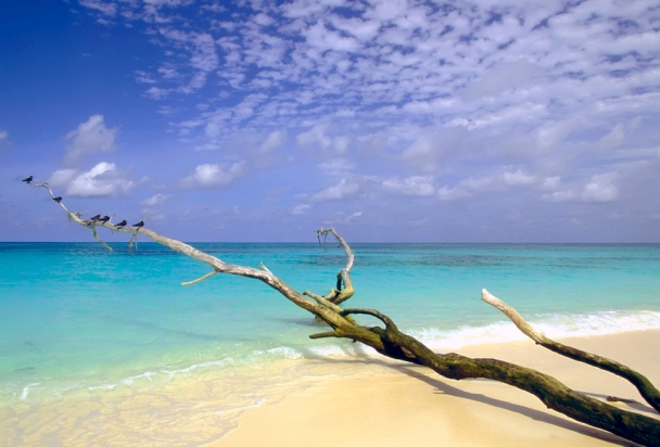 Seychelles island