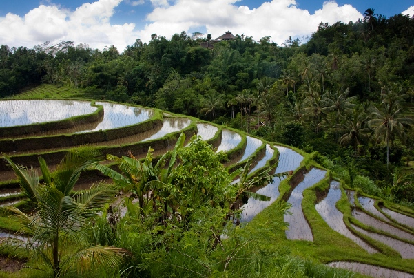 bali island