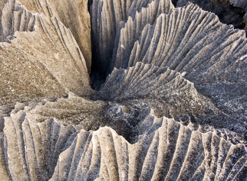 Tsingy de Bemaraha
