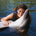 Swim with dolphins