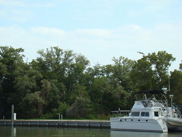Everglades-National-Park