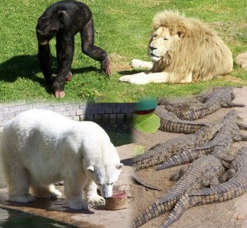 Johannesburg Zoo