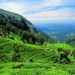 budget travelling in sri lanka