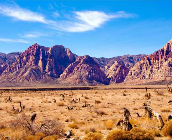 must to know facts about nevada