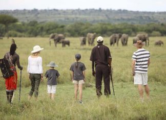 Family Safari in Kenya